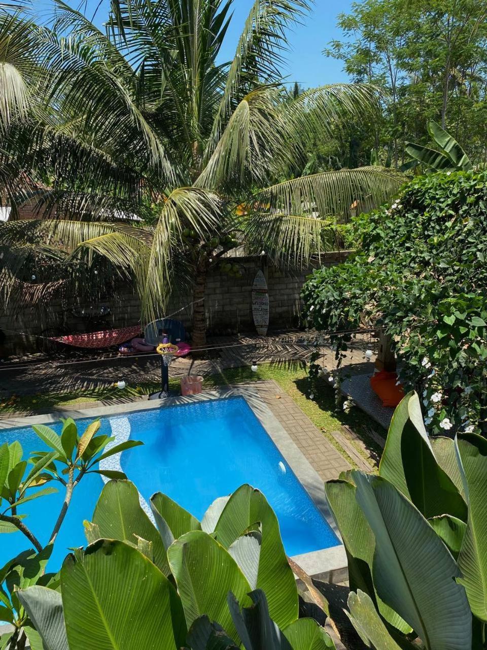 Didu'S Homestay Bed & Breakfast Banyuwangi  Ngoại thất bức ảnh