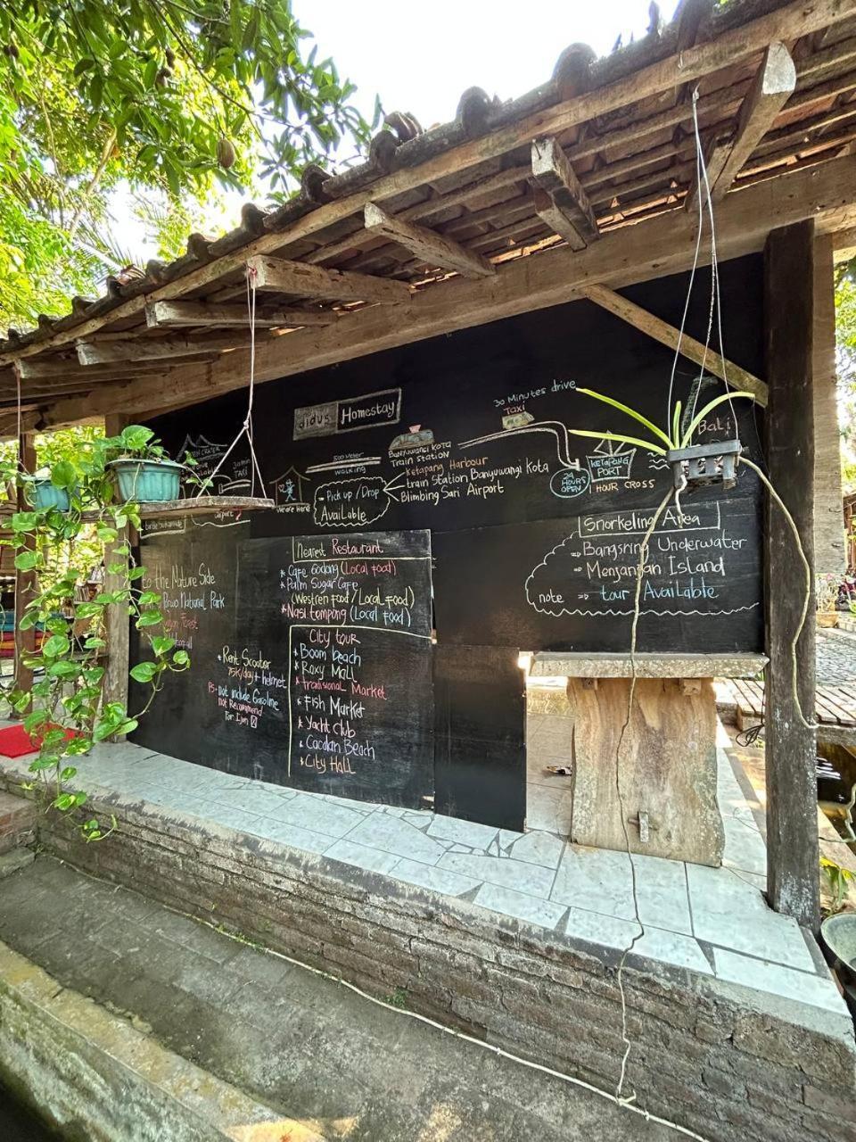 Didu'S Homestay Bed & Breakfast Banyuwangi  Ngoại thất bức ảnh